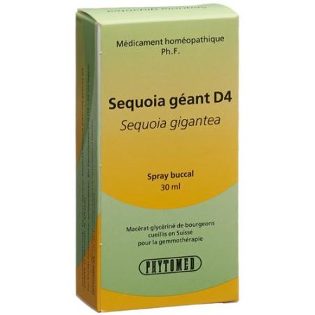 PHYTOMED GEMMO sequoia liq D 4 Spr 30 ml - PrimeCare Global
