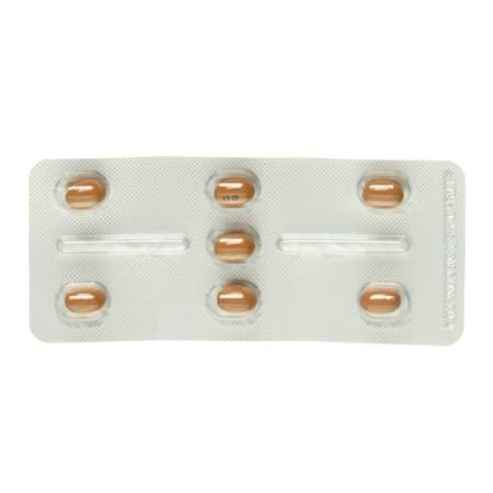 Zemplar Kaps 2 mcg 28 pcs - PrimeCare Global
