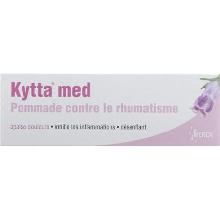 Kytta med rheumatic ointment Tb 100 g - PrimeCare Global
