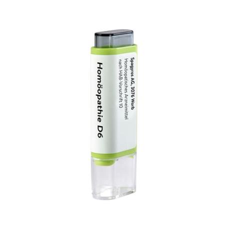 Spagyros Allium cepa Glob D 6 Multiclick 2 g - PrimeCare Global