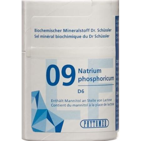 PHYTOMED SCH&Uuml;SSLER Nr9 Tabl D 6 lactose-free 200 pcs - PrimeCare Global