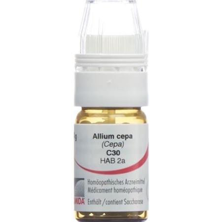 Omida Allium cepa Glob C 30 with dosing aid 4 g - PrimeCare Global