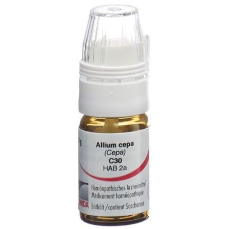 Omida Allium cepa Glob C 30 with dosing aid 4 g - PrimeCare Global