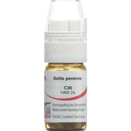 Omida Bellis perennis Glob C 30 with dosing aid 4 g - PrimeCare Global
