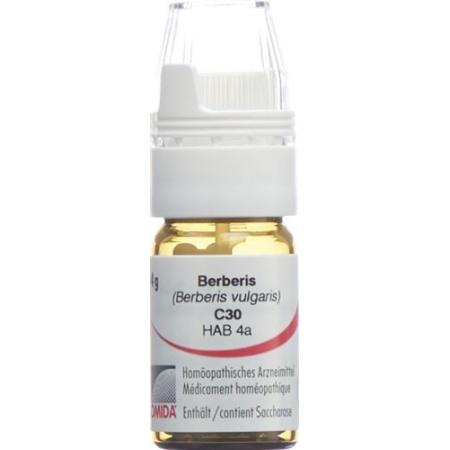 Omida Berberis Glob C 30 with dosing aid 4 g - PrimeCare Global