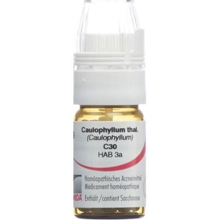 Omida Caulophyllum Glob C 30 with dosing aid 4 g - PrimeCare Global