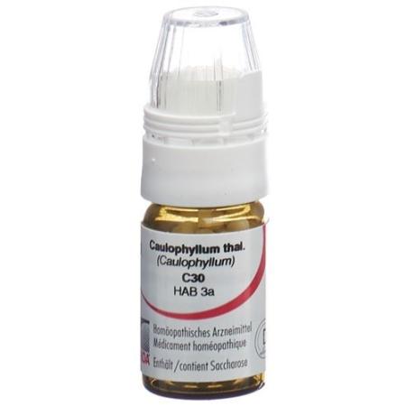 Omida Caulophyllum Glob C 30 with dosing aid 4 g - PrimeCare Global