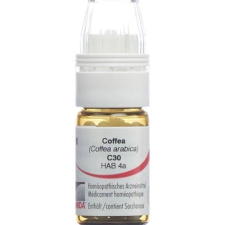 Omida Coffea Glob C 30 m dosing aid 4 g - PrimeCare Global