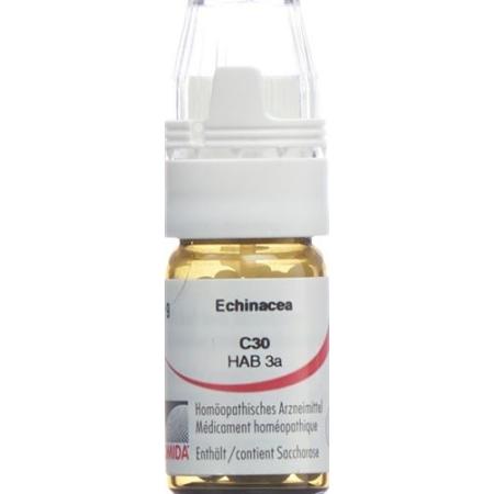 Omida Echinacea Glob C 30 with dosing aid 4 g - PrimeCare Global