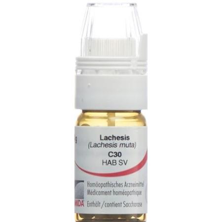 Omida Lachesis Glob C 30 with dosing aid 4 g - PrimeCare Global