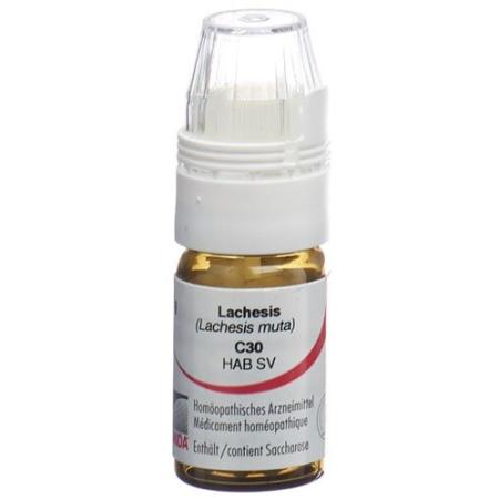 Omida Lachesis Glob C 30 with dosing aid 4 g - PrimeCare Global