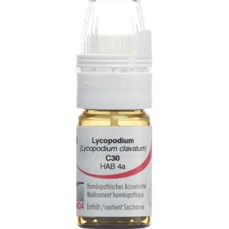 Omida Lycopodium Glob C 30 with dosing aid 4 g - PrimeCare Global