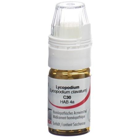 Omida Lycopodium Glob C 30 with dosing aid 4 g - PrimeCare Global