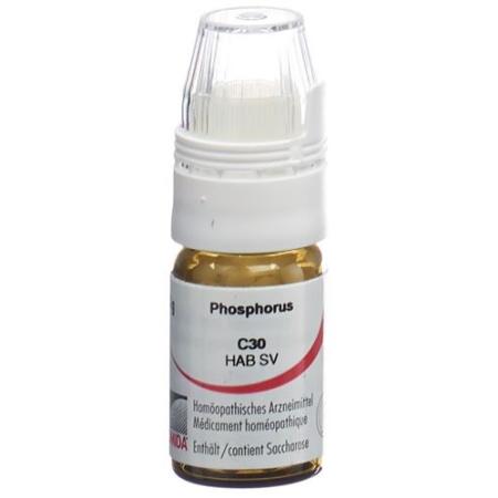 Omida Phosphorus Glob C 30 with dosing aid 4 g - PrimeCare Global