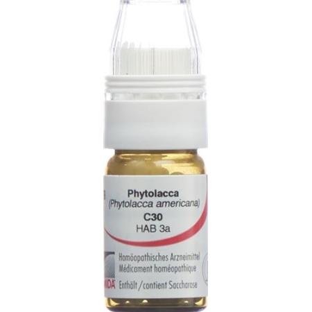 Omida Phytolacca Glob C 30 with dosing aid 4 g - PrimeCare Global