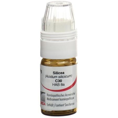Omida Silicea Glob C 30 with dosing aid 4 g - PrimeCare Global