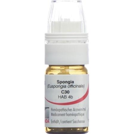 Omida Spongia Glob C 30 with dosing aid 4 g - PrimeCare Global