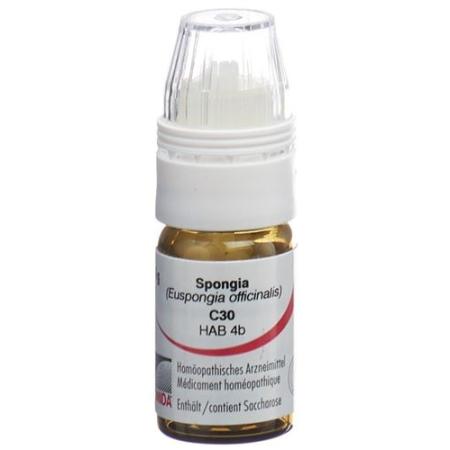 Omida Spongia Glob C 30 with dosing aid 4 g - PrimeCare Global