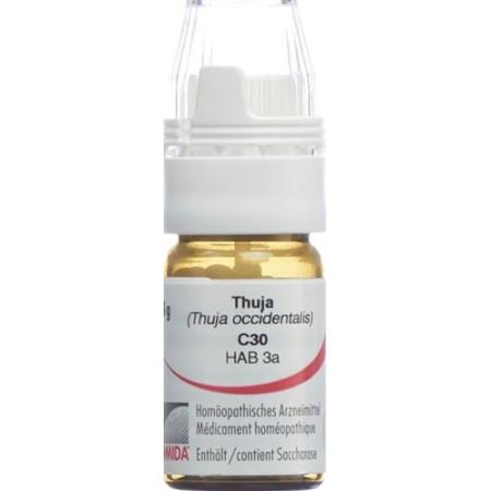 Omida Thuja Glob C 30 with dosing aid 4 g - PrimeCare Global