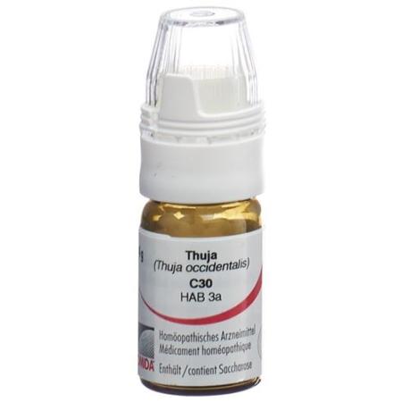 Omida Thuja Glob C 30 with dosing aid 4 g - PrimeCare Global