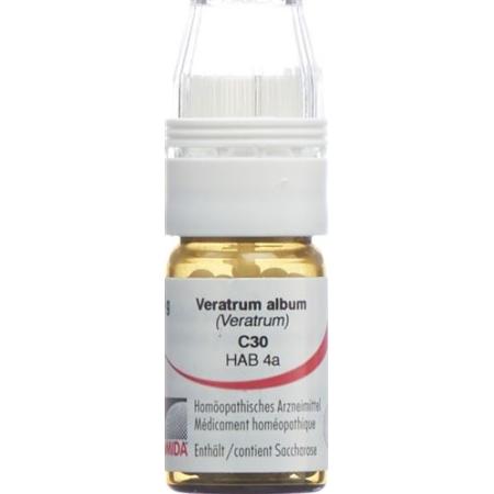 Omida Veratrum album Glob C 30 with dosing aid 4 g - PrimeCare Global