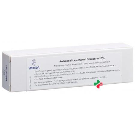 Weleda Archangelica ethanol. Decoctum 10% Unguentum 25 g - PrimeCare Global