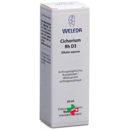 WELEDA Cichorium Rh D 3 Dilaq 20 ml - PrimeCare Global