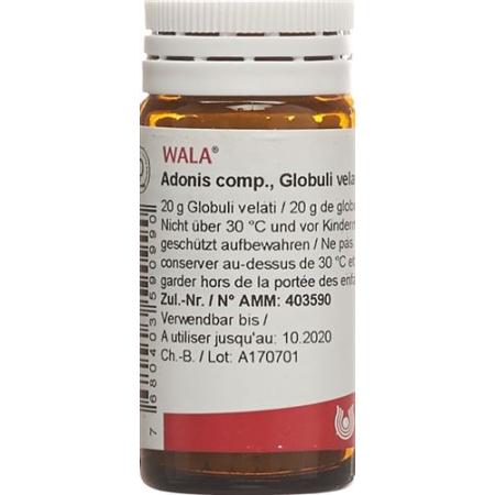 Wala Adonis comp. Glob bottle 20 g - PrimeCare Global