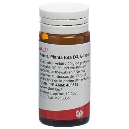 Wala Arnica e planta tota Glob D 3 20 g - PrimeCare Global