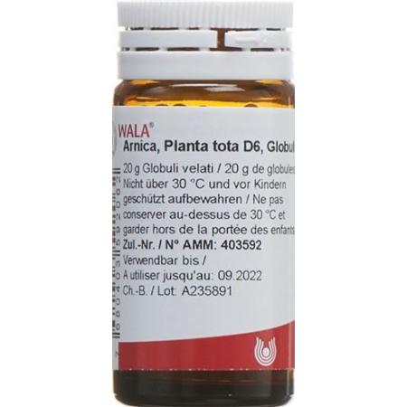 Wala Arnica e planta tota Glob D 6 20 g - PrimeCare Global