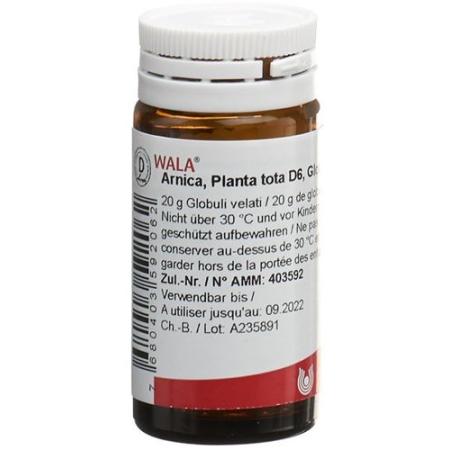 Wala Arnica e planta tota Glob D 6 20 g - PrimeCare Global