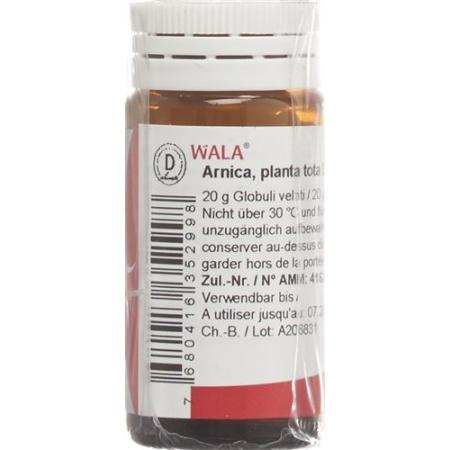 Wala Arnica planta tota D19 / Aurum D29 Glob 20 g - PrimeCare Global