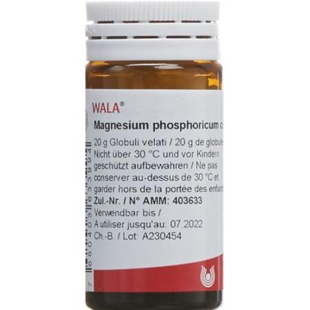 Wala Magnesium phosphoricum comp. Glob bottle 20 g - PrimeCare Global