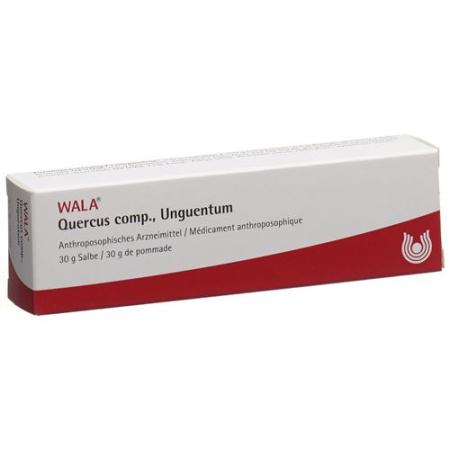Wala Quercus comp. Ointment 30 g - PrimeCare Global