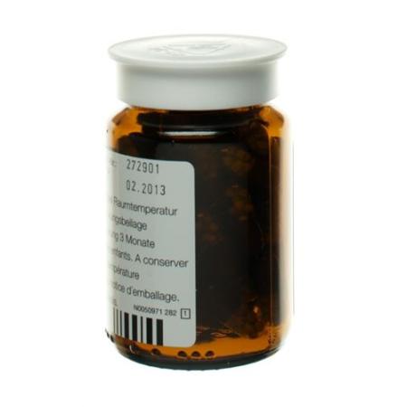 PANCYTRATE 10000 caps - PrimeCare Global