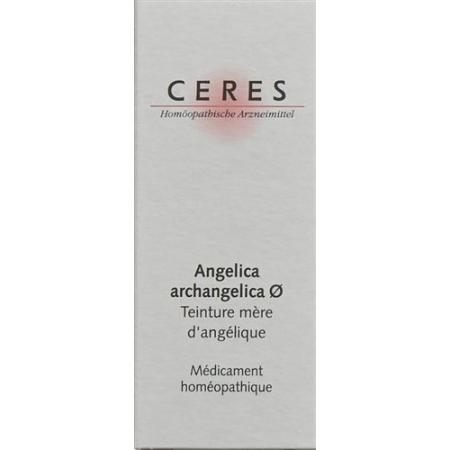 Ceres Angelica Archangelica Mother Tint Bottle 20 ml - PrimeCare Global