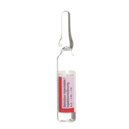 Adrenaline Sintetica 0.1 mg/ml without Disulfite 1ml 10 Amp 1ml - PrimeCare Global