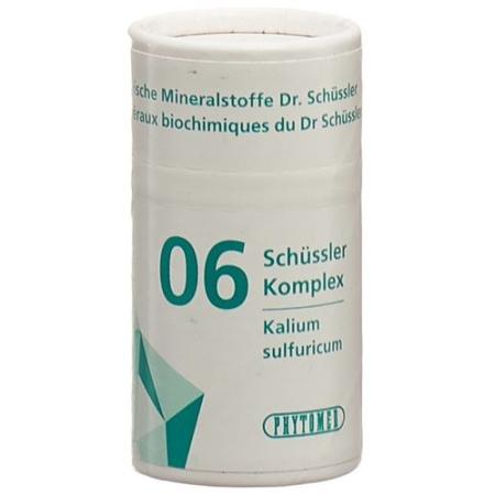 PHYTOMED SCH&Uuml;SSLER Complex No 6 Tabl Ds 300 pcs - PrimeCare Global