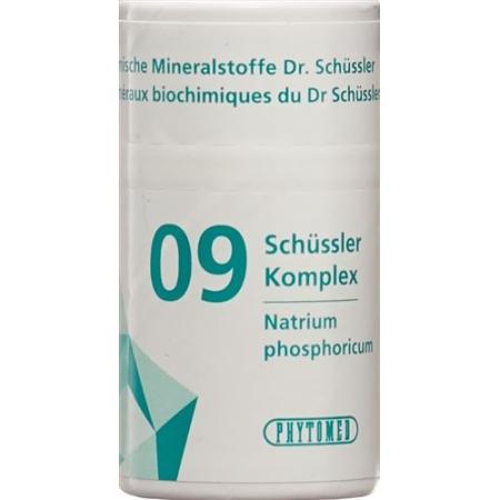 PHYTOMED SCH&Uuml;SSLER Complex No 9 Tabl Ds 300 pcs - PrimeCare Global