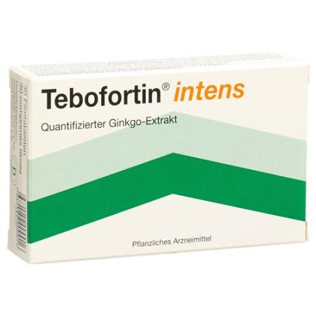 Tebofortin Intens 120 mg 30 filmtablets - PrimeCare Global