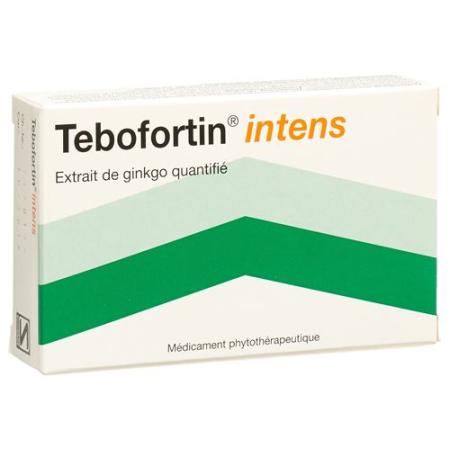 Tebofortin Intens 120 mg 30 filmtablets - PrimeCare Global