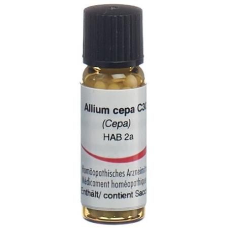 Omida Allium cepa Glob C 30 2g - PrimeCare Global