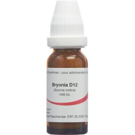 Omida Bryonia Glob D 12 2g - PrimeCare Global