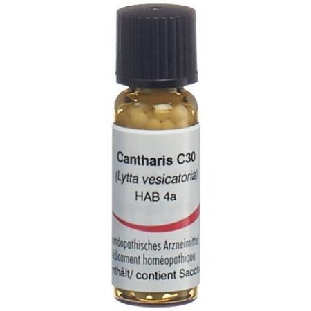 Omida Cantharis Glob C 30 2g - PrimeCare Global