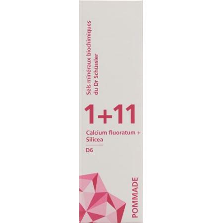 PHYTOMED SCH&Uuml;SSLER 1+11 Ointment D 6 500 g - PrimeCare Global