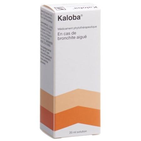 Kaloba L&ouml;s Fl 20 ml - PrimeCare Global