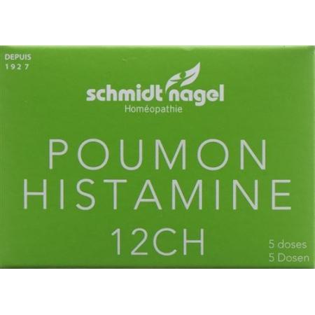 SN Poumon histamine Glob CH 12 5 x 1 g - PrimeCare Global