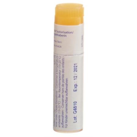 Boiron pollen comp. Glob CH 15 5 x 1 dose - PrimeCare Global
