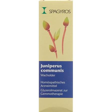 Spagyros Gemmo Juniperus communis Glyc Maz D 1 30 ml - PrimeCare Global