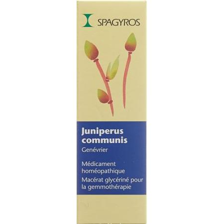 Spagyros Gemmo Juniperus communis Glyc Maz D 1 30 ml - PrimeCare Global